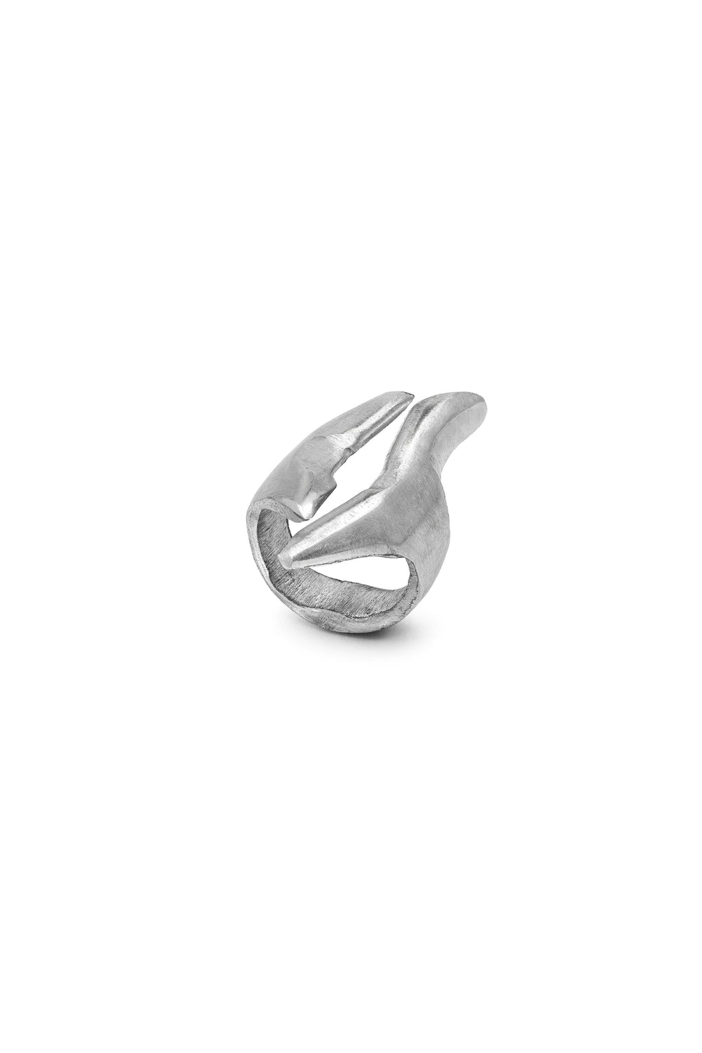 RING WHALE TAIL