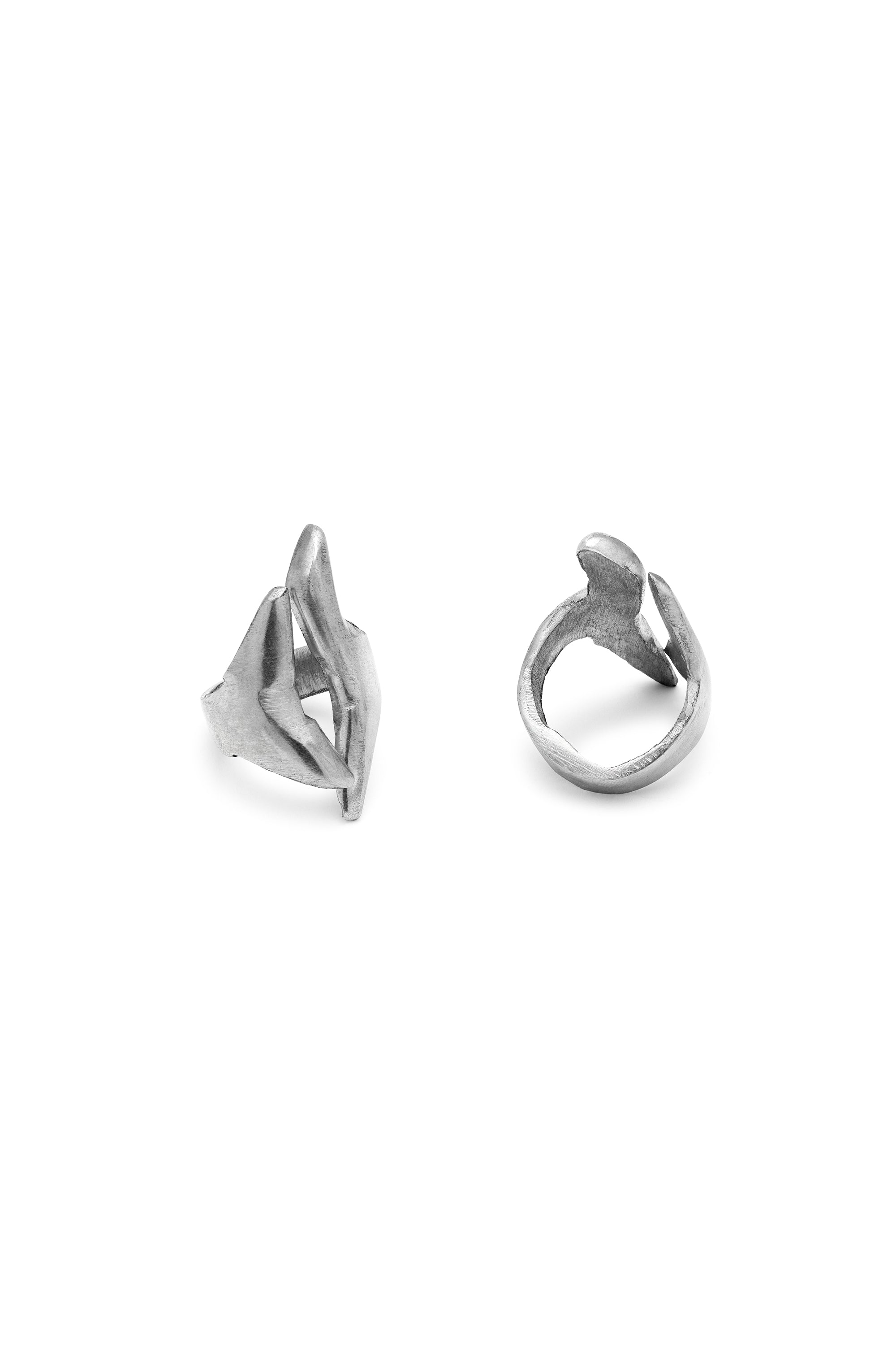 RING WHALE TAIL