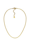 Vestopazzo Thin Snake Necklace - Necklaces in Kuwait | عقد سلسلة سنيك (Snake) رفيعة مطلية بالذهب - Saya